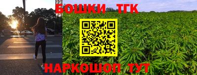 шишки Апшеронск
