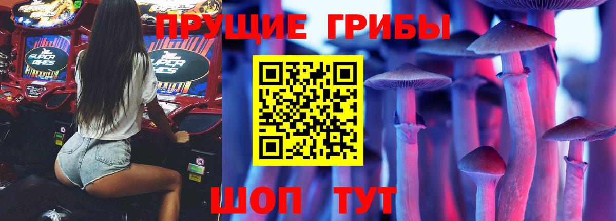 Галлюциногенные грибы Psilocybe  Вход с VPN  Брянск 